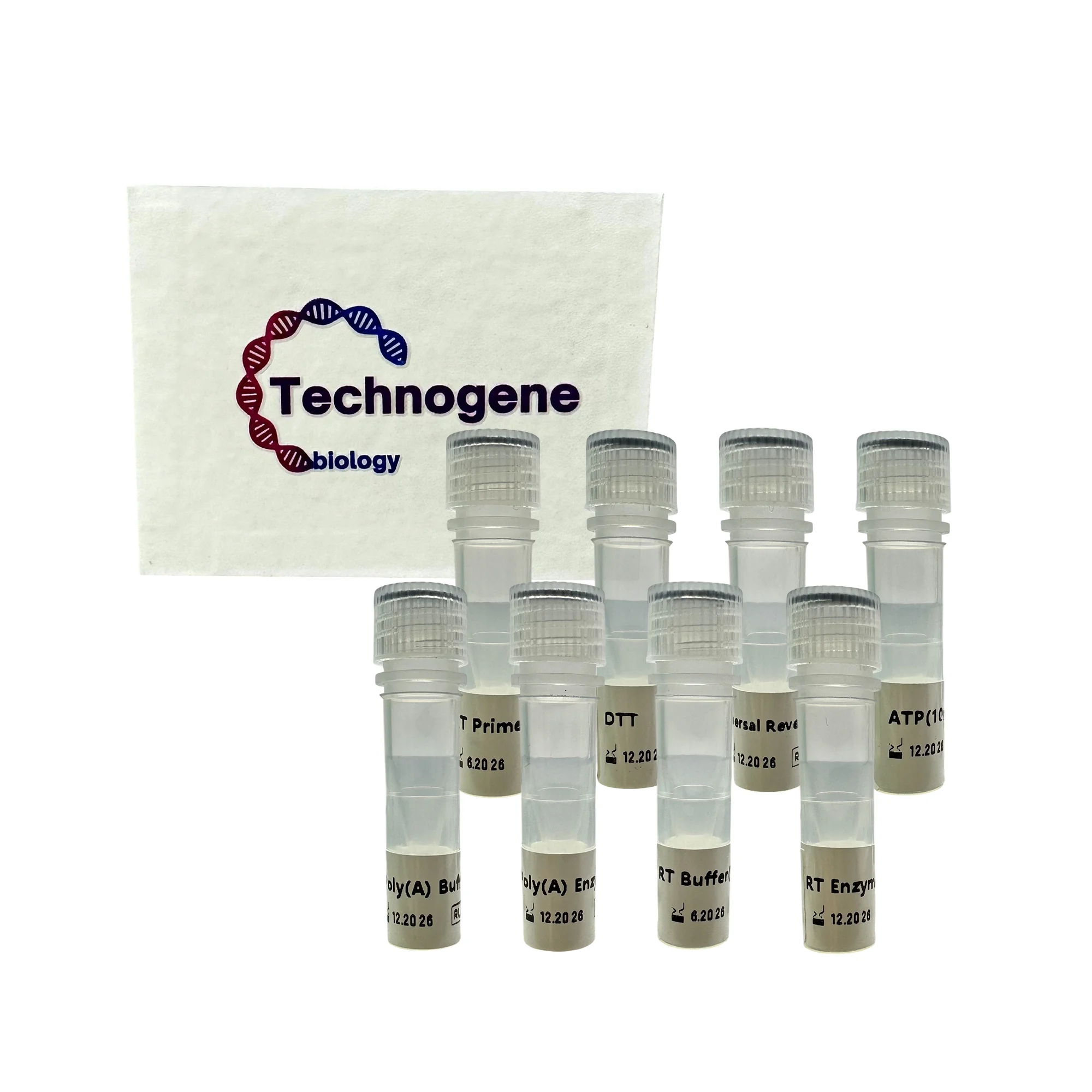 microRNA cDNA Synthesis Kit (Poly A)