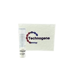 ATP (10mM)
