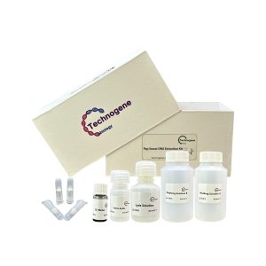 Pap Smear DNA Extraction