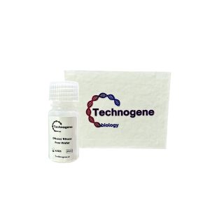 DNase / RNase Free Water