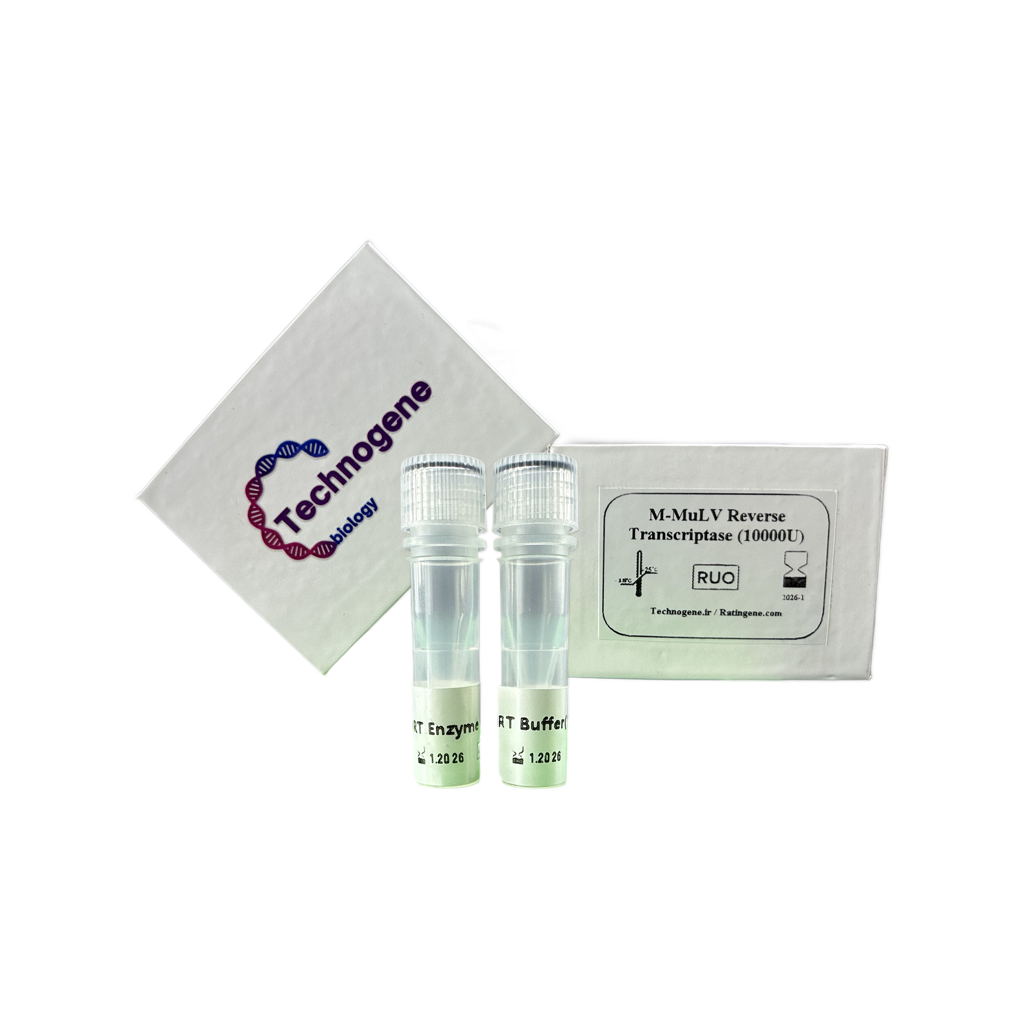 Technogene HyperTherm SynFusion Reverse Transcriptase
