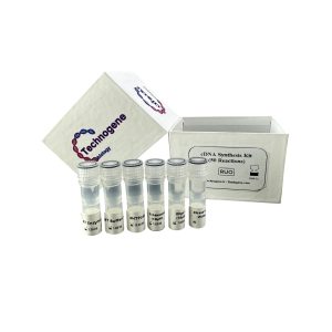 HyperTherm SynThex cDNA Synthesis Kit