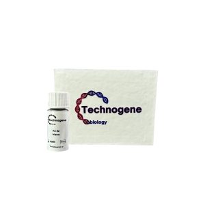 Fe-Si Nanoparticle