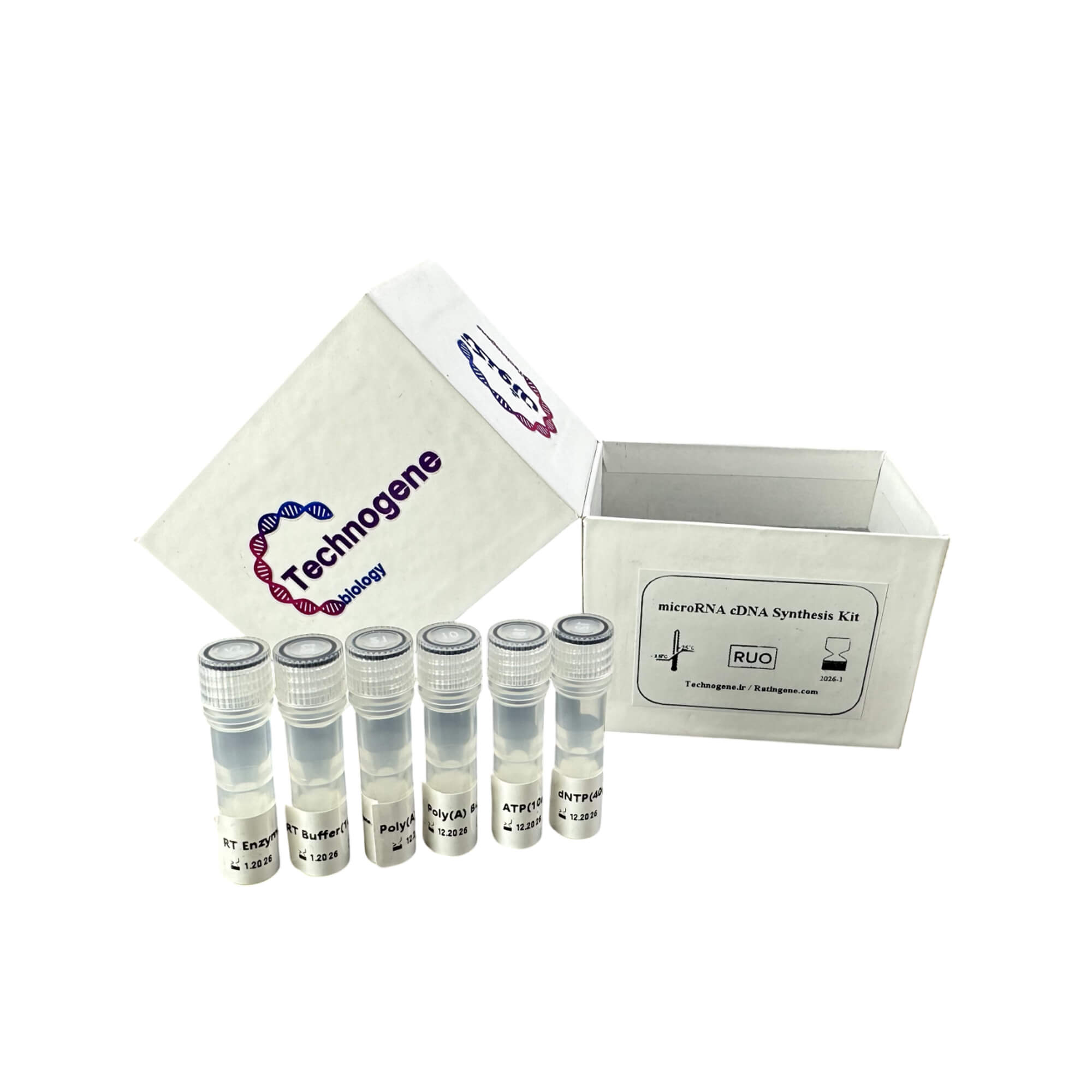 microRNA cDNA Synthesis Kit (Poly A)
