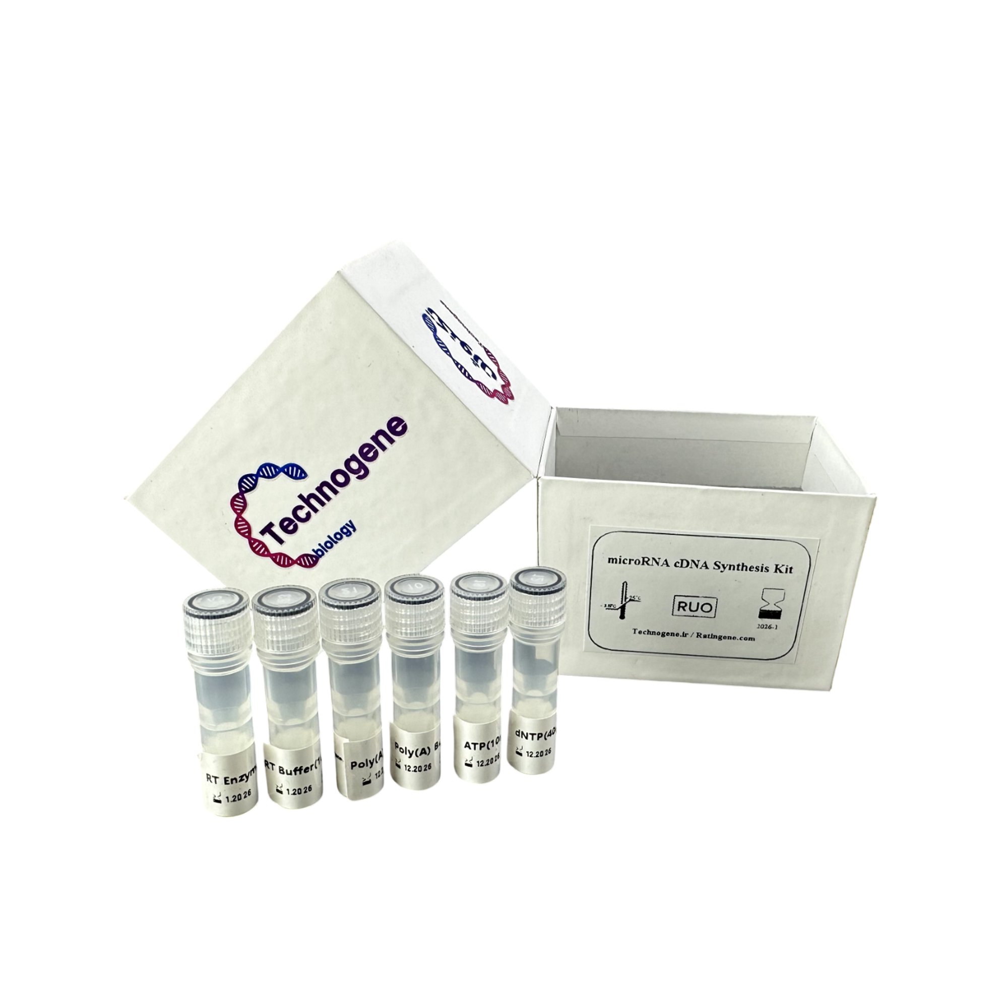 microRNA cDNA Synthesis Kit (Poly A)