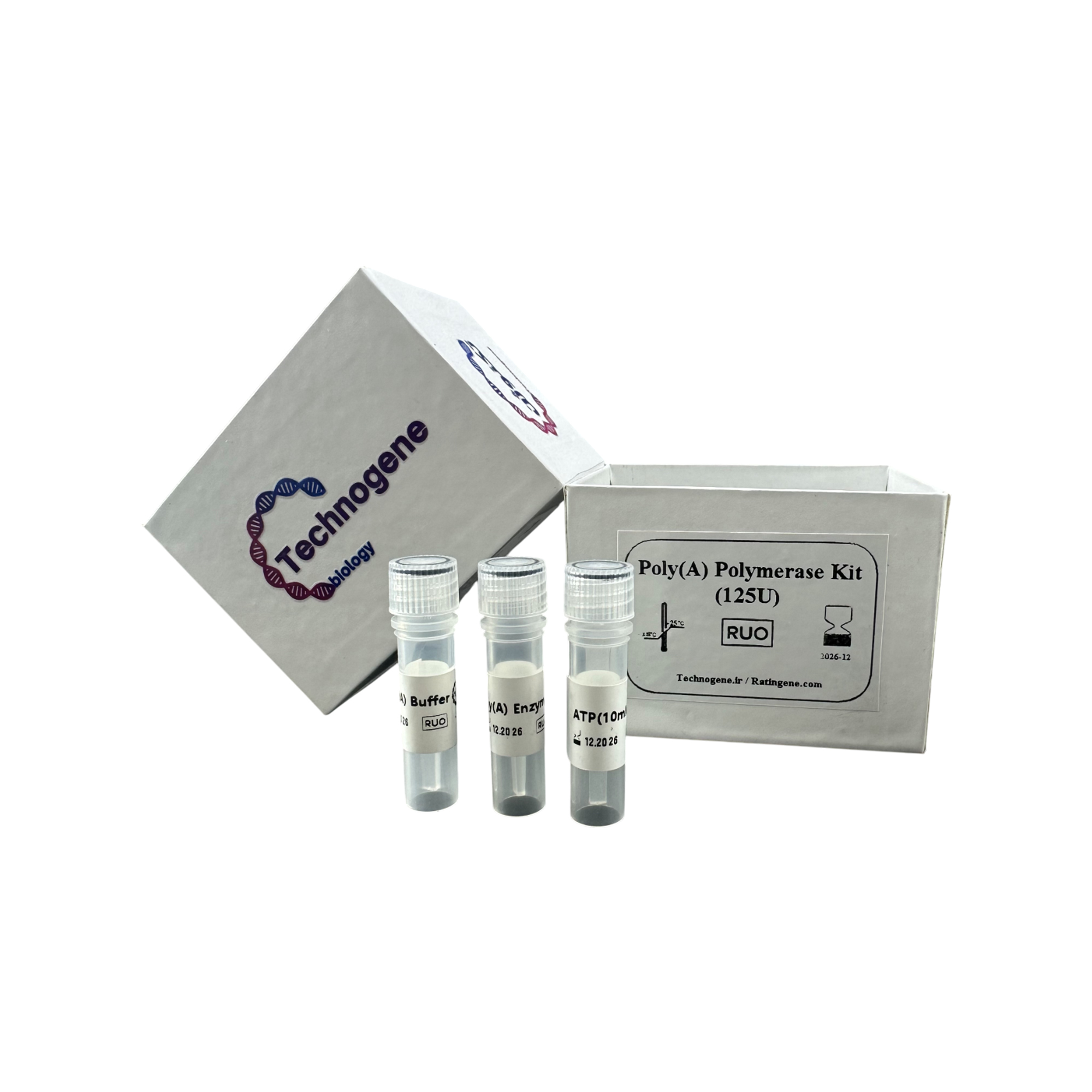 E. coli Poly(A) Polymerase