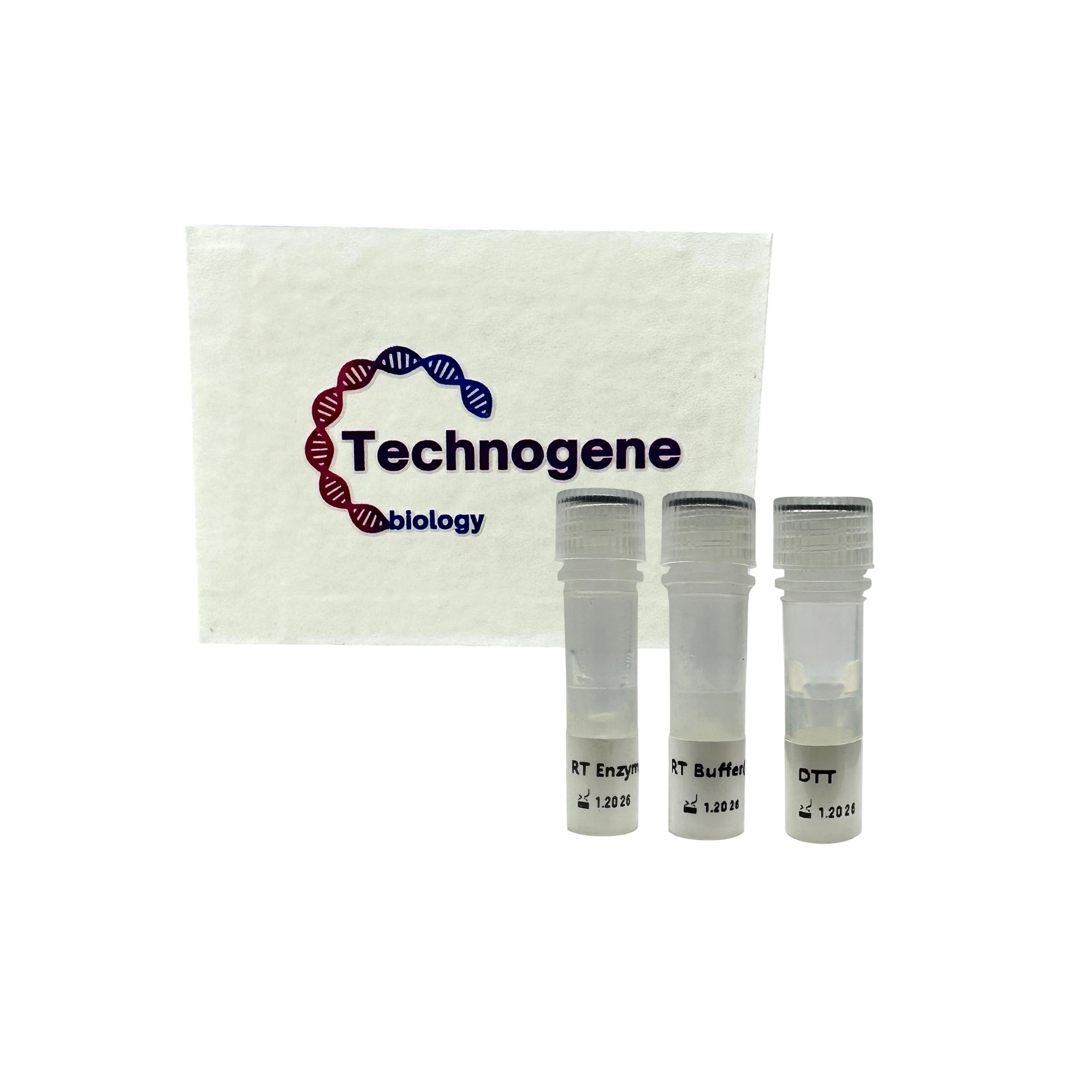 Technogene HyperTherm SynFusion Reverse Transcriptase